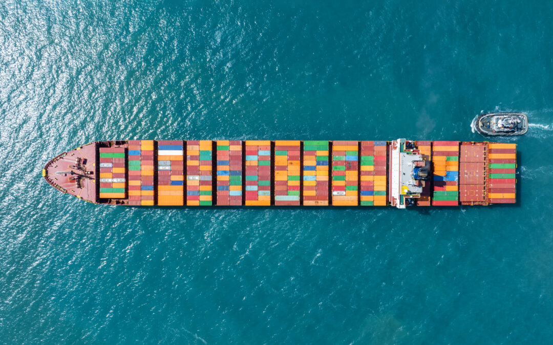 Understanding Statutory Audit Requirements in Singapore