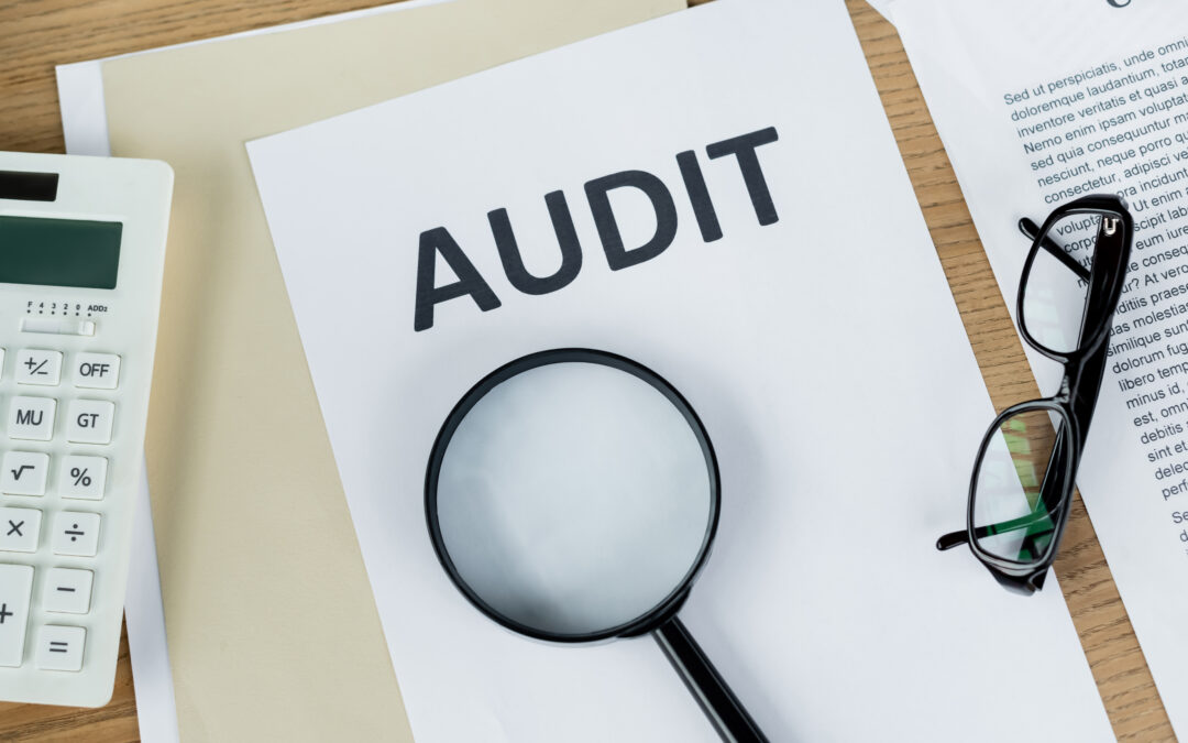 Types of Singapore Audit Services and Which One Your Company Needs