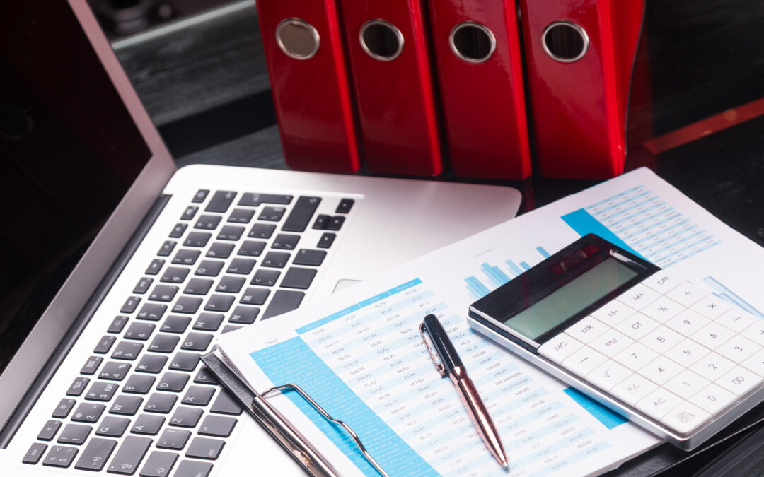 How SMEs Can Prepare Digital Records for a Smooth Financial Statement Audit