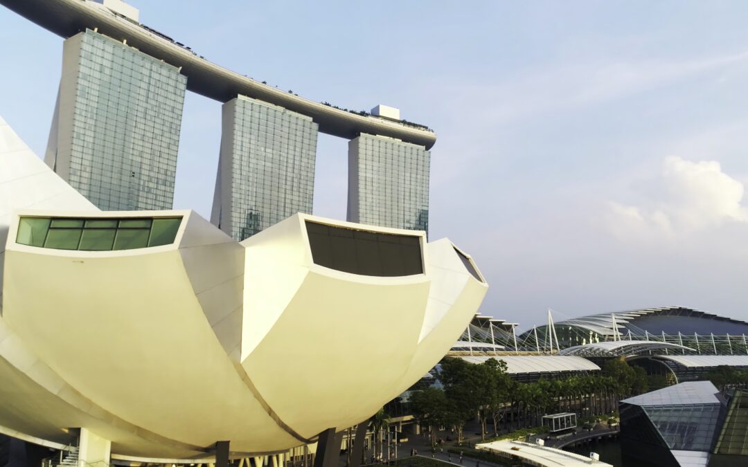 What We’ve Learned from Working with Growing Businesses Across Singapore