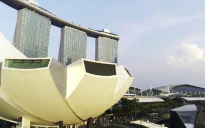 What We’ve Learned from Working with Growing Businesses Across Singapore