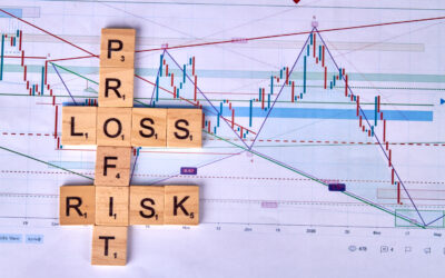 Financial Statements Audit: Why Directors Should Review More Than the Profit and Loss Statement